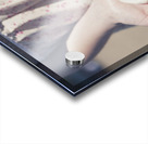 Hands Holding Large Seashell Acrylic print