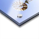 Outback Australian farm mill Acrylic print