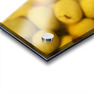 Olive Jar Acrylic print