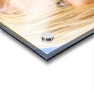 Summer Secrecy Acrylic print