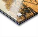 Farm fields of Eumundi Sunshine Coast Acrylic print