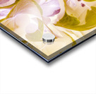 Pastel inverse Acrylic print