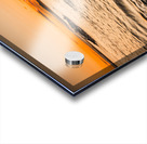 Morning Tide Acrylic print