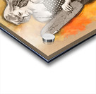 Skateboard pin-up illustration Acrylic print