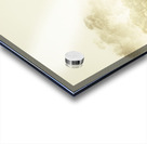 Rustic Tasmanian rural forest Acrylic print