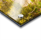 Scenic forest falls Acrylic print