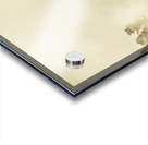 Hazy remote woodlands Acrylic print