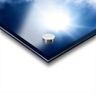 Sweet escape Acrylic print