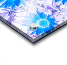 Gazania blue Acrylic print