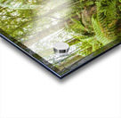 Travel man sitting in a green lush fern forest Acrylic print