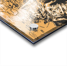 Seas and conquest Acrylic print