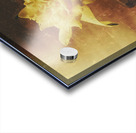 Vintage daffodil flower art Acrylic print