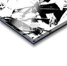 Feathermentary  Acrylic print