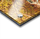 Shored Acrylic print