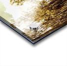 Easely lead  Acrylic print