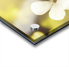 Pale wildflowers Acrylic print