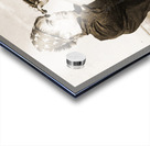 Antique Telescope Acrylic print