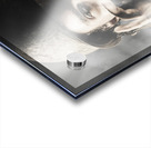 Soldiering on Acrylic print