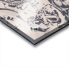 Nautical silver Acrylic print