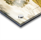 Camena Tasmania country panorama Acrylic print