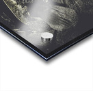 Setting the stage Acrylic print