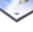 Peace And Balance Acrylic print