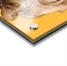 A motion of colours Acrylic print