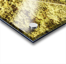 Adventure high Acrylic print