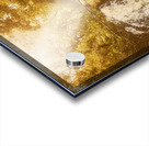 Wonder Fall Acrylic print