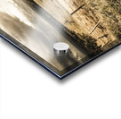 Holiday in Tasmania Acrylic print