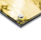 River Vista views Acrylic print