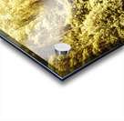 Canopy crossing Acrylic print