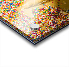 One Thousand Apologies Acrylic print