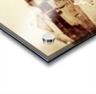 Natures pecking order Acrylic print