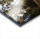 Forestry road landscape Acrylic print