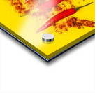 Pepper hot! Acrylic print