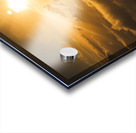 Golden glow Acrylic print