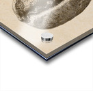 Old gold Acrylic print