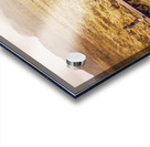 Man on expedition along Cradle Mountain Boardwalk Acrylic print