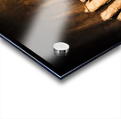 Curse of the tomb robber Acrylic print