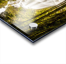 Tasmanian Waterfalls Acrylic print