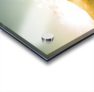 Last light lane Acrylic print