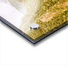 The valley below Acrylic print