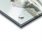 Aquatic spray Acrylic print