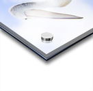 Looking To The Future Acrylic print