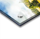 Bright and colourful forest Acrylic print