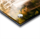 Fall of autumn  Acrylic print