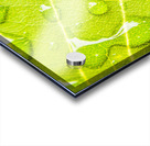 Summer rain Acrylic print