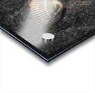 Ocean Rush Acrylic print