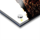 Retro Surfers Illustration Acrylic print